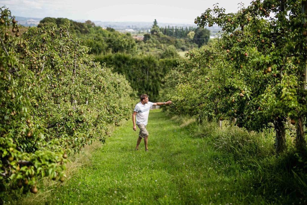 The Pear Orchard Lodge Richmond Exteriör bild